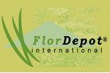 logo_flor_depot